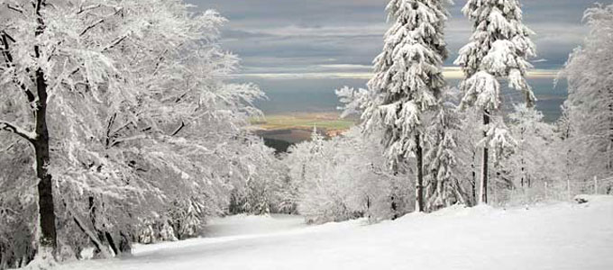 Banner Iberg