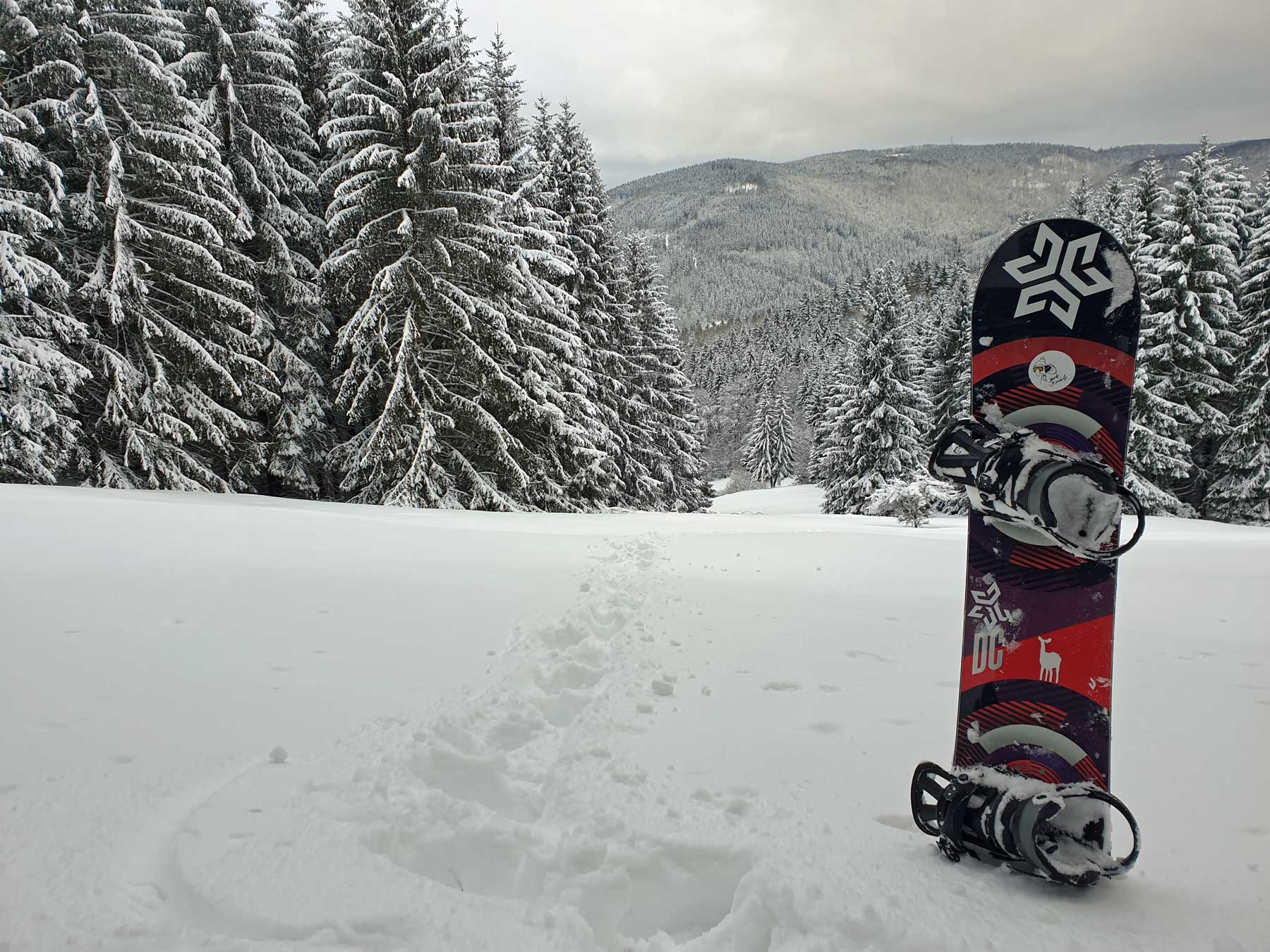 banner snow2021